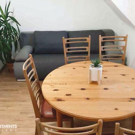 Huge Bbq Garden 2, Spacious Flat, Ac, Free Parking 2 Ljubljana Bagian luar foto