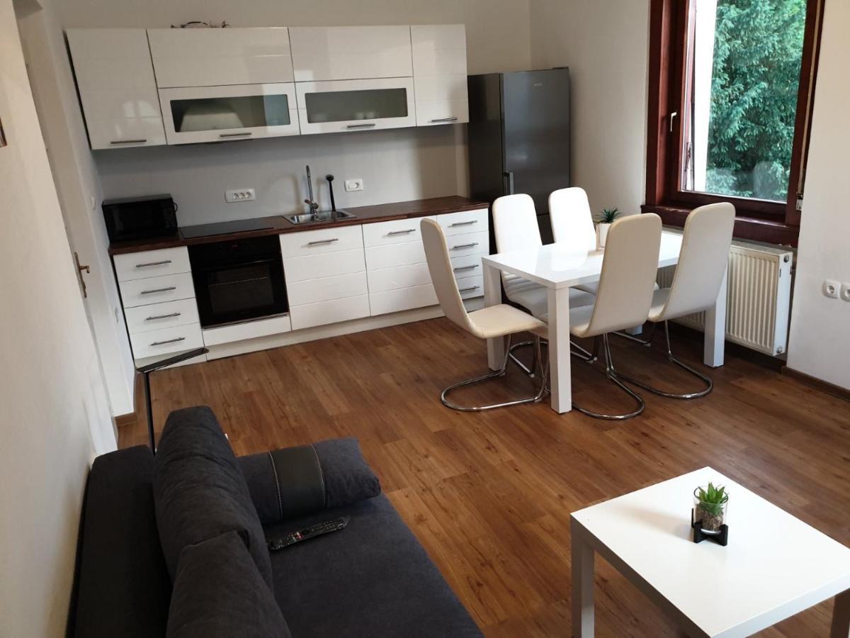 Huge Bbq Garden 2, Spacious Flat, Ac, Free Parking 2 Ljubljana Bagian luar foto