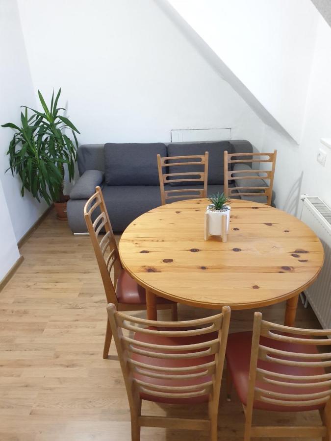 Huge Bbq Garden 2, Spacious Flat, Ac, Free Parking 2 Ljubljana Bagian luar foto
