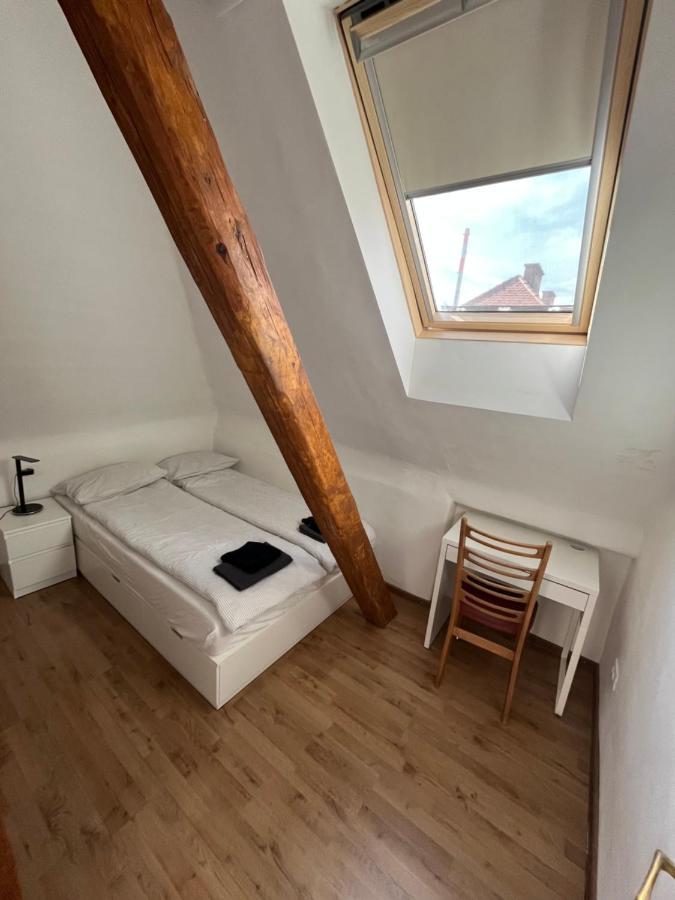 Huge Bbq Garden 2, Spacious Flat, Ac, Free Parking 2 Ljubljana Bagian luar foto