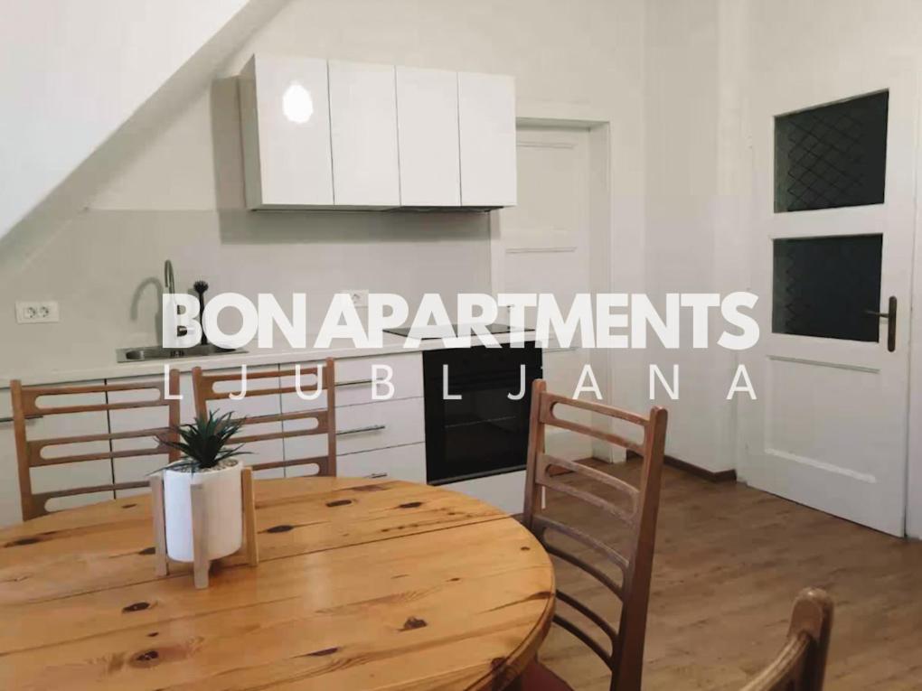 Huge Bbq Garden 2, Spacious Flat, Ac, Free Parking 2 Ljubljana Bagian luar foto