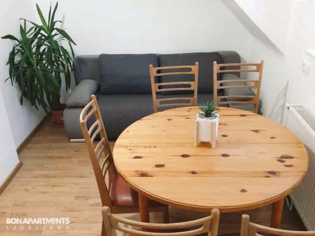 Huge Bbq Garden 2, Spacious Flat, Ac, Free Parking 2 Ljubljana Bagian luar foto